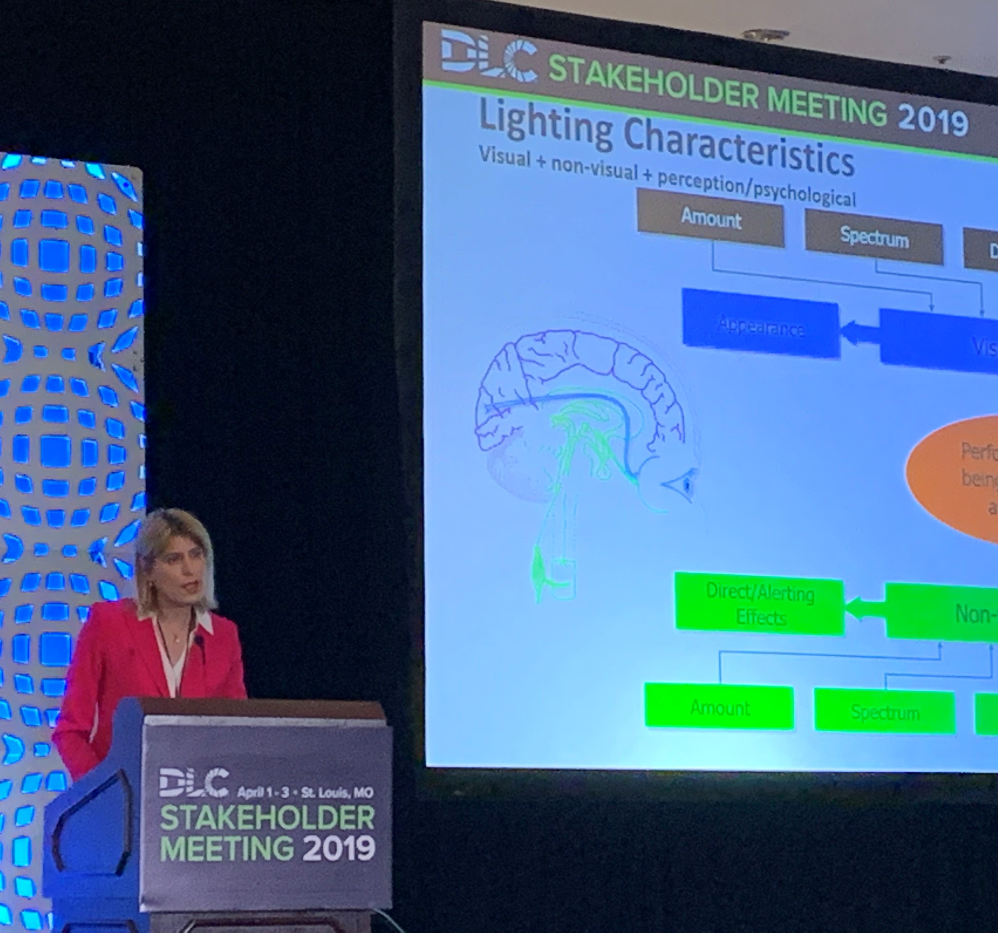 Read more about the article DLC Stakeholders Meeting:   Progress, but Solutions Remain Elusive