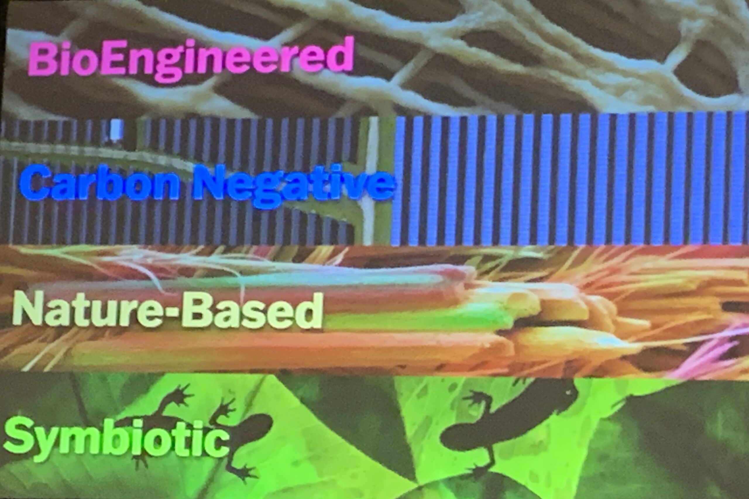 Read more about the article Closing Keynote at IES Annual Conference Speaks on Using Biology to Design the Healthiest Buildings