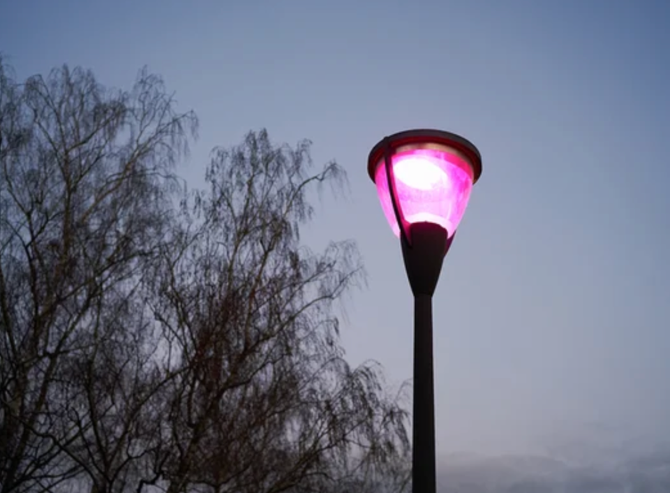 Read more about the article Scientific American: Mt. Sinai’s Light & Health Research Center Weighs in on Purple Lights