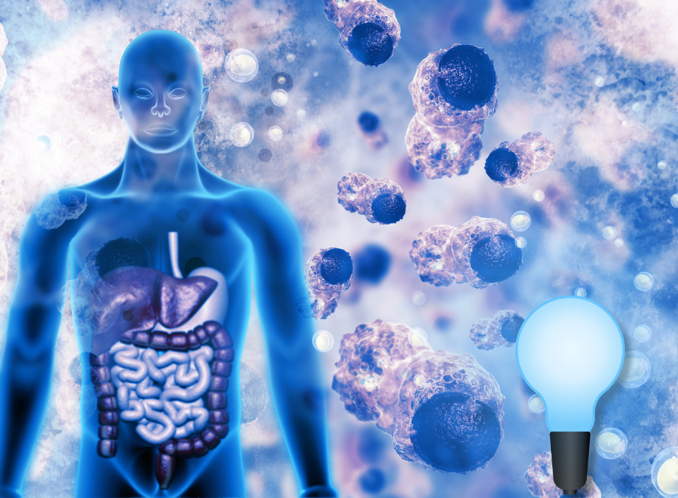 Read more about the article Psychology Today: Blue Light and Rising Cancer Rates