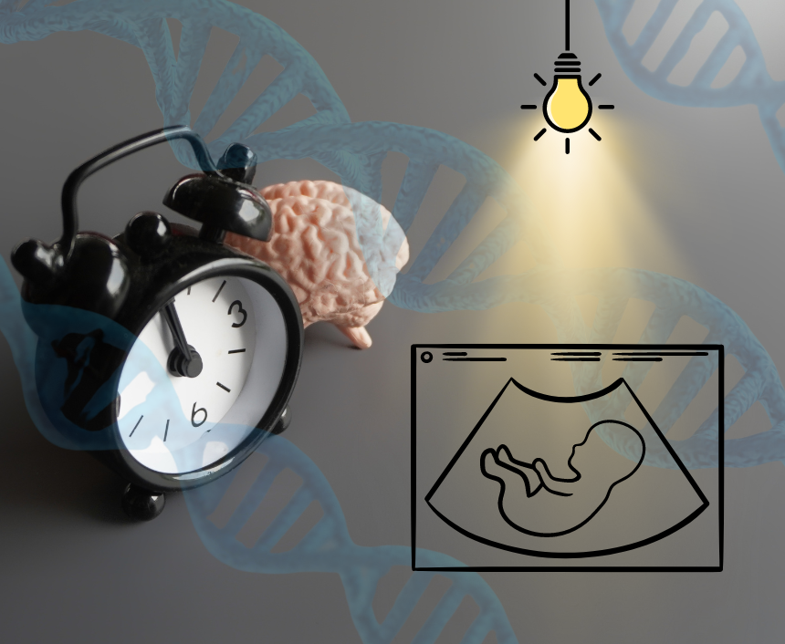Read more about the article ScienceDirect: Impact of Prenatal LPS and Postnatal LL on Circadian Genes