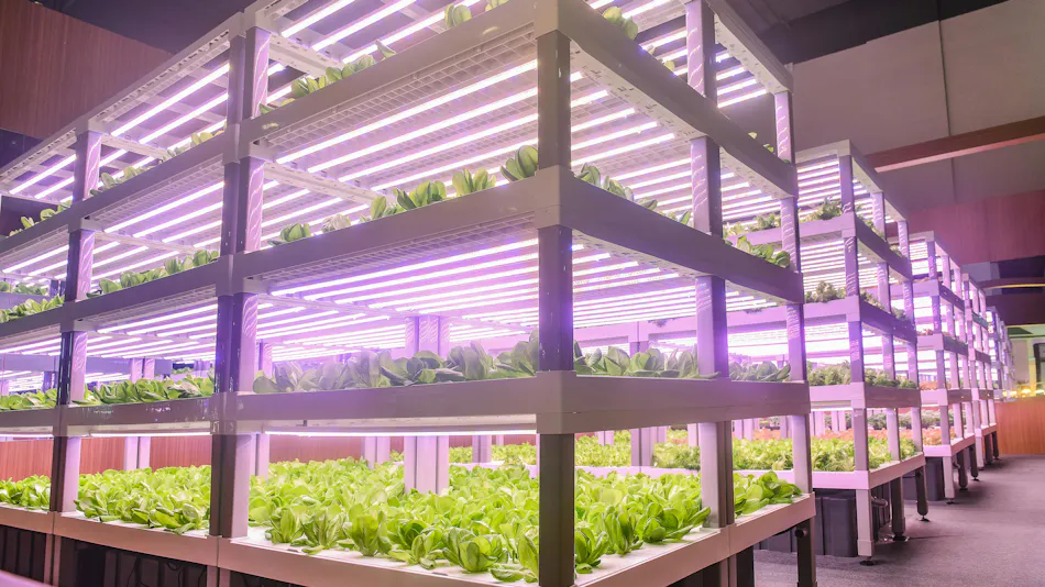 Horticultural Lighting QPL