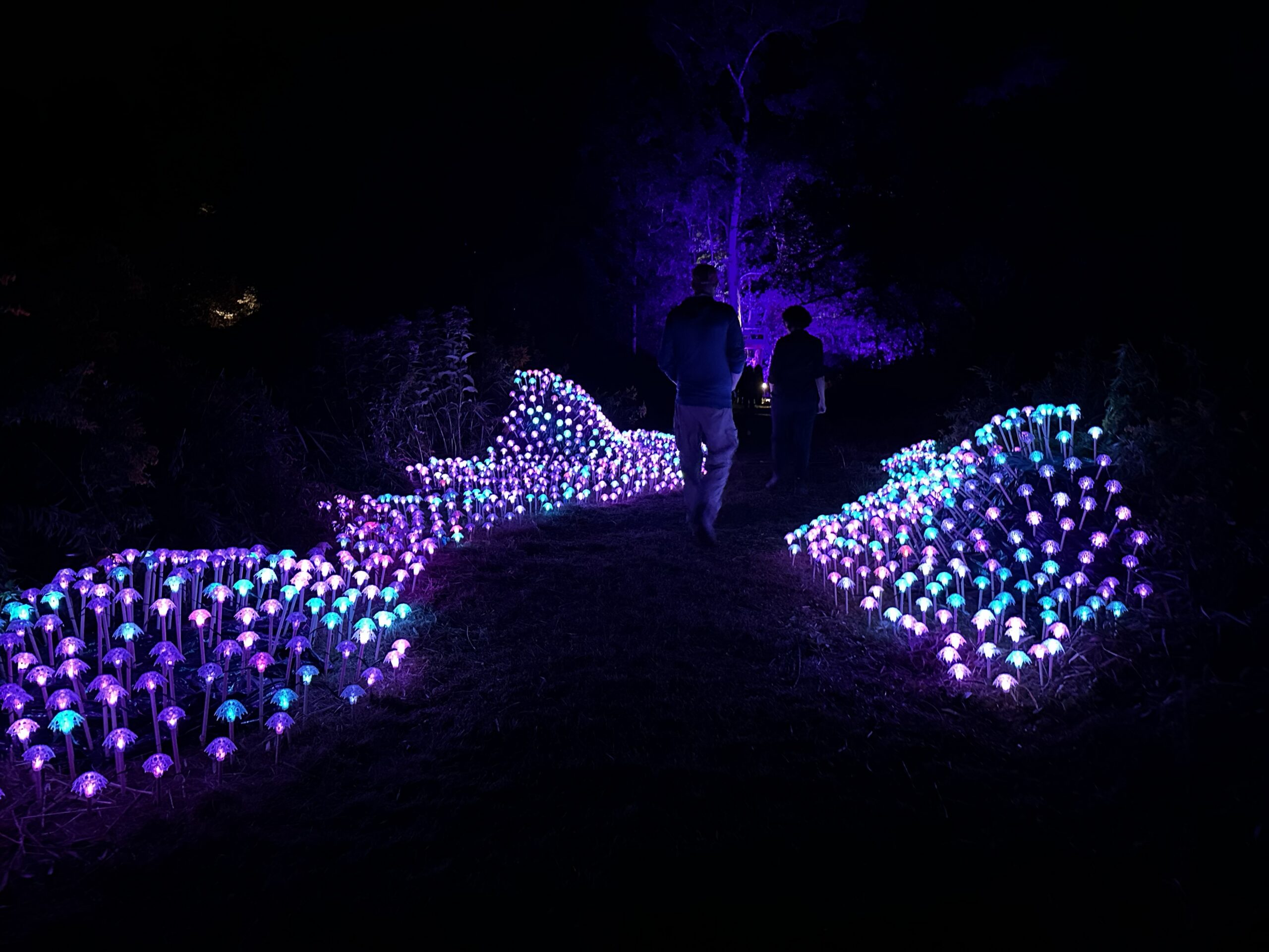 Night Lights in New Lebanon